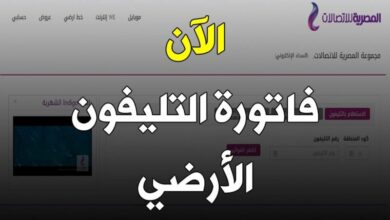 فاتورة التليفون الأرضي we 